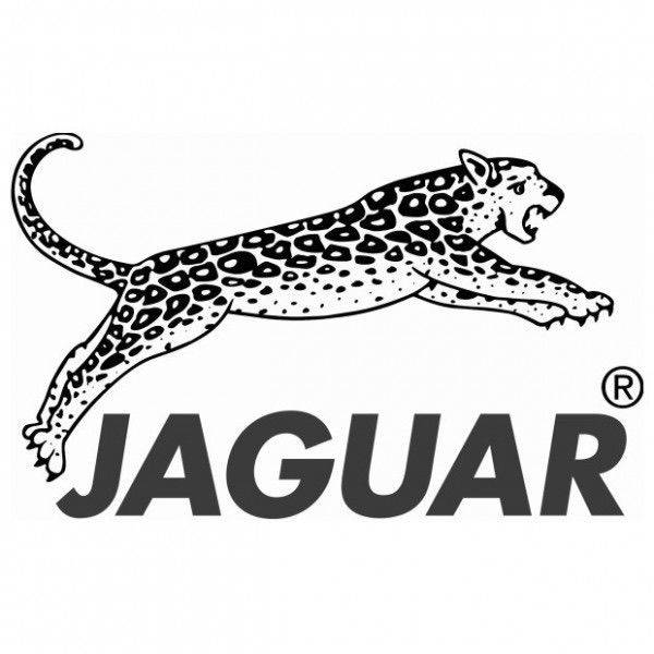 Jaguar Logo 